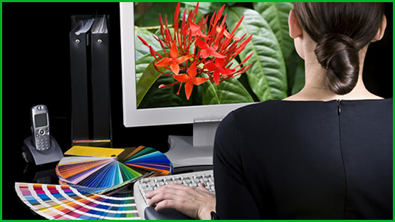 555x312-graphic-design-3px